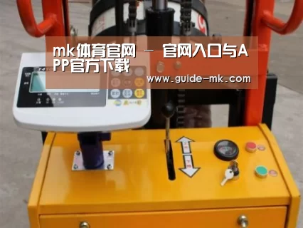 mk体育官网案例展示三
