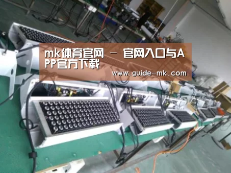 mk体育官网案例展示一(图1)