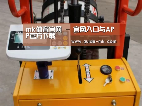 mk体育官网案例展示三(图1)