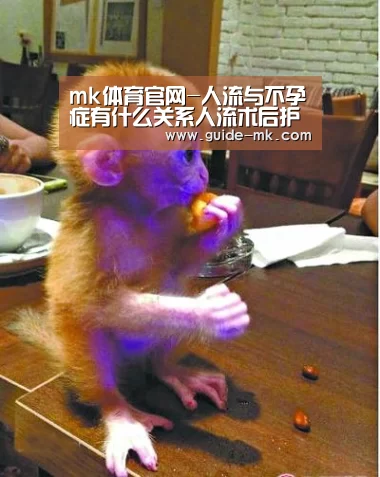 mk体育官方网站