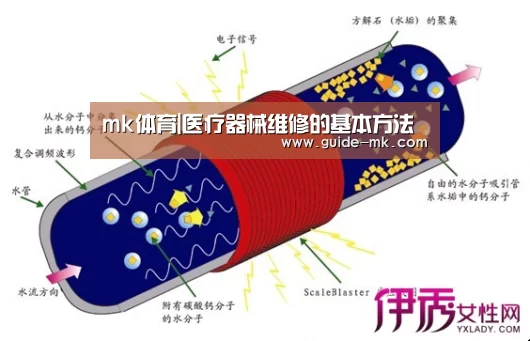 mk体育