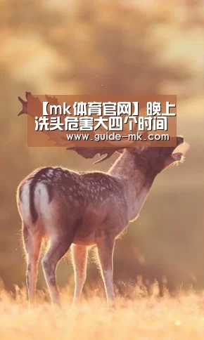 【mk体育官网】晚上洗头危害大四个时间不宜洗头(图1) mk体育官方网站