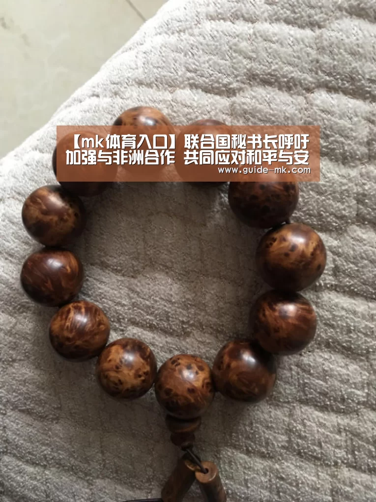 【mk体育入口】联合国秘书长呼吁加强与非洲合作 共同应对和平与安全、发展、气候变化、移民和反腐挑战(图2) mk体育