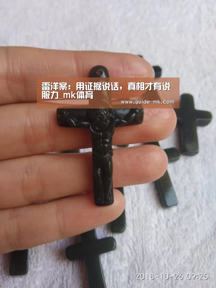 雷洋案:用证据说话,真相才有说服力_mk体育(图1) mk体育入口