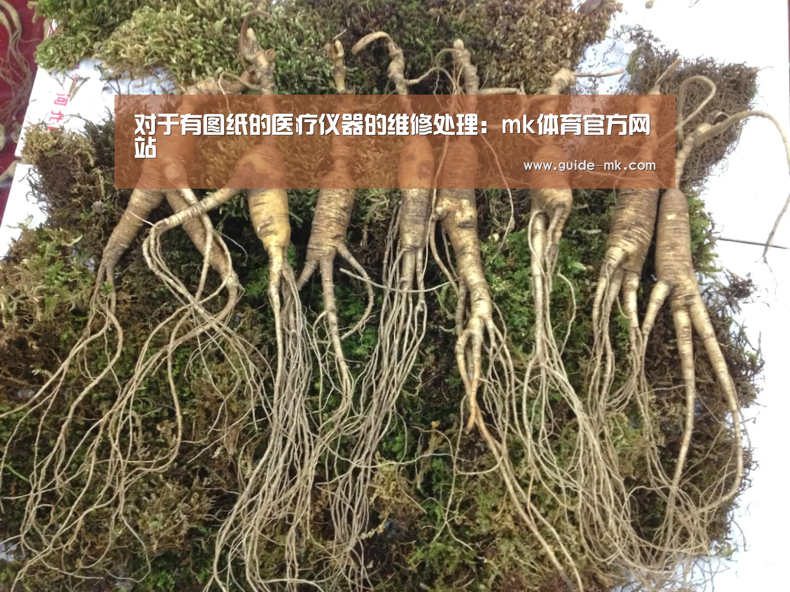 对于有图纸的医疗仪器的维修处理:mk体育官方网站(图1) mk体育入口
