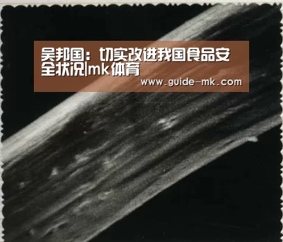 吴邦国:切实改进我国食品安全状况|mk体育(图2) mk体育官网